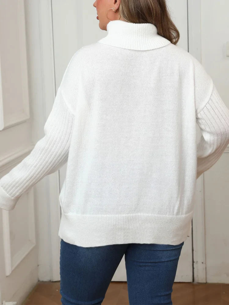 Pull Col Roulé
