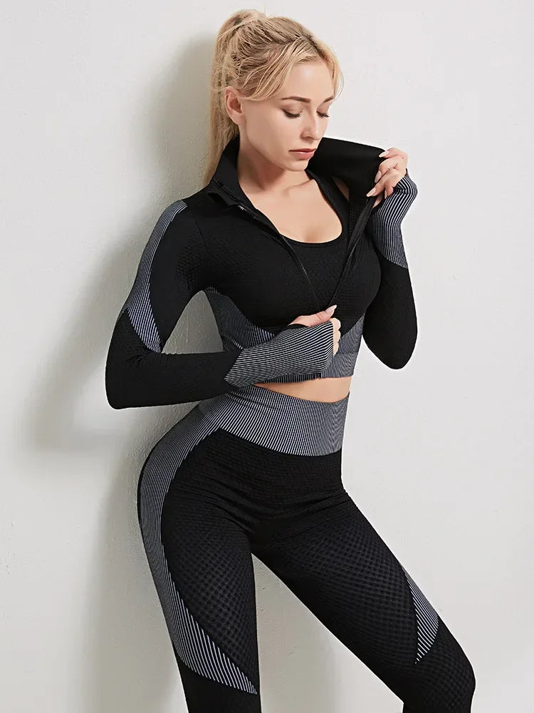 Ensemble Gym Zippé