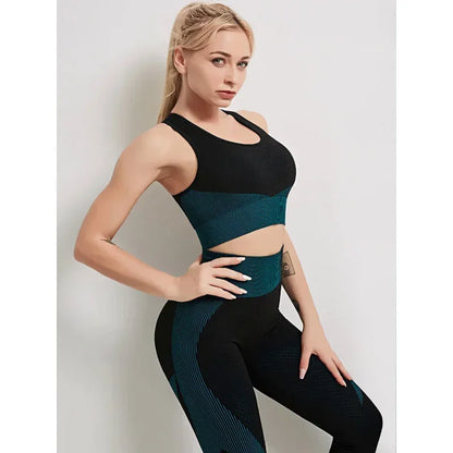 Ensemble Gym Zippé