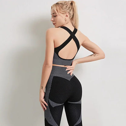 Ensemble Gym Zippé